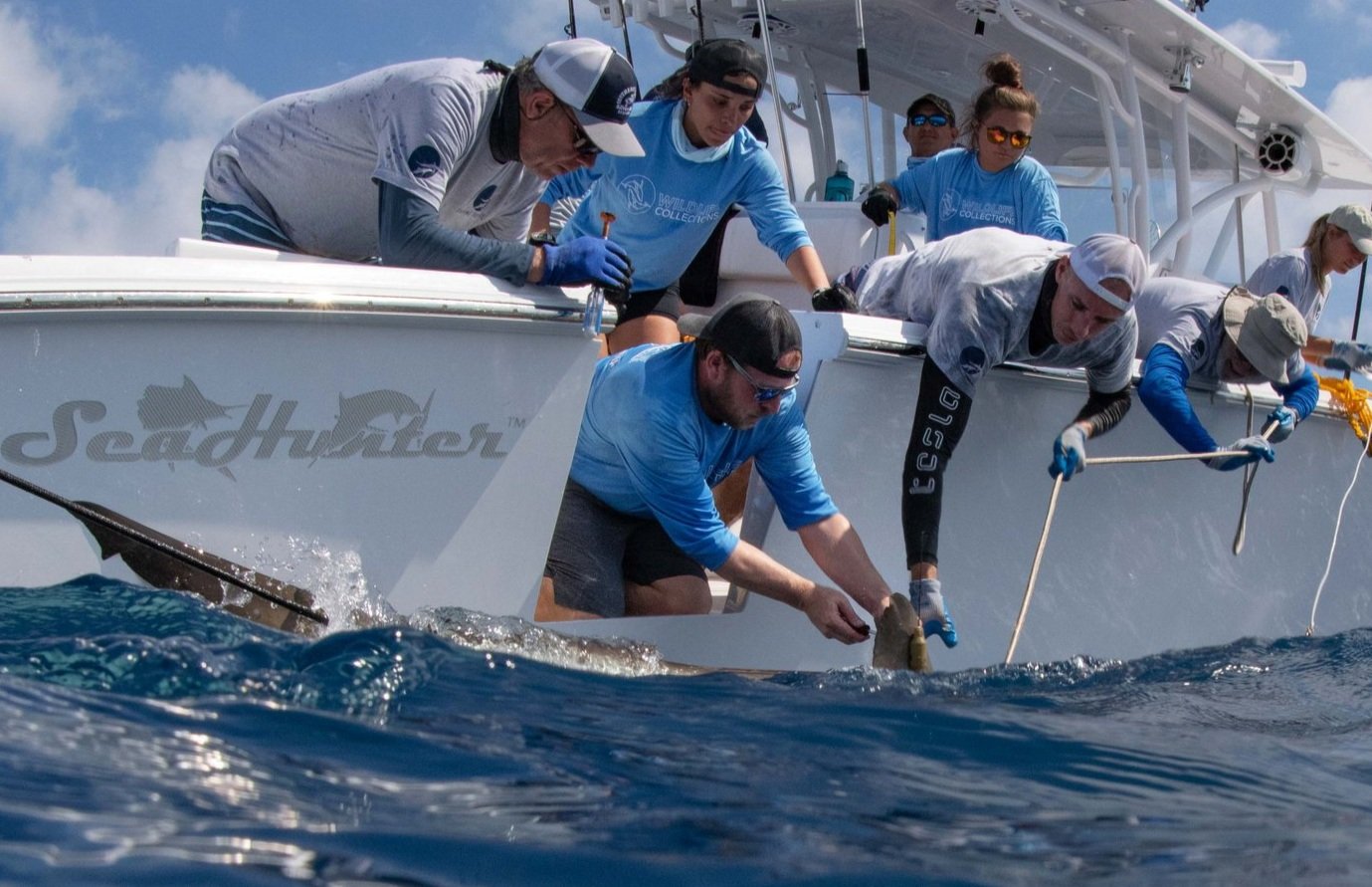 Ашулы кәмелетке толған ана кішкентай ұлымен жыныстық қатынасқа түскен.